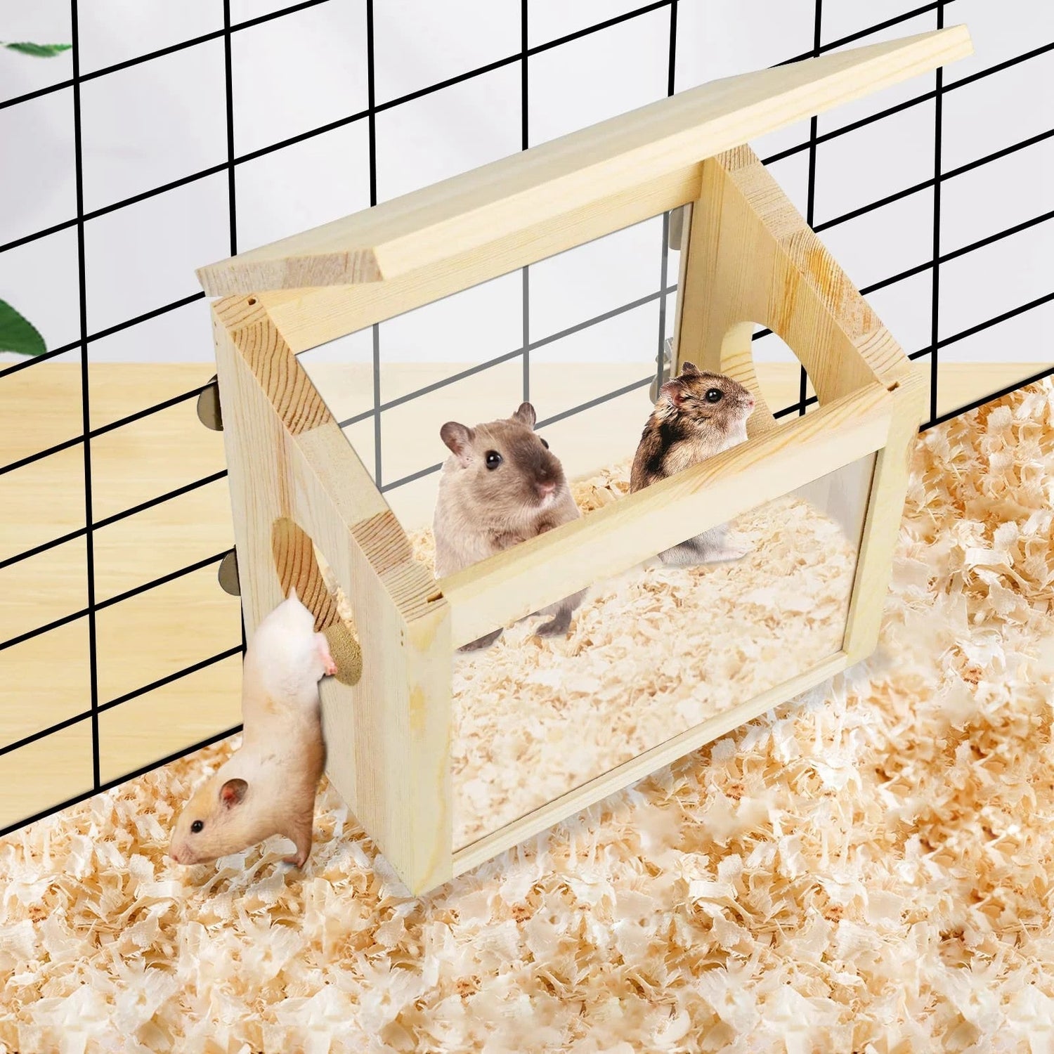 Small Pets